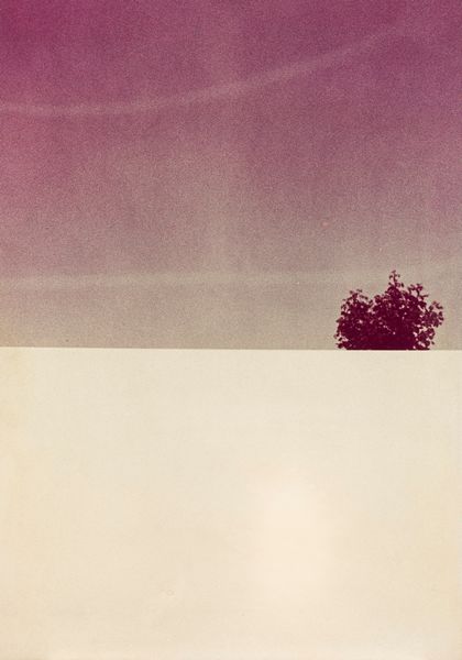 Franco Fontana : Senza titolo (Paesaggio)  - Asta Fotografia - Associazione Nazionale - Case d'Asta italiane