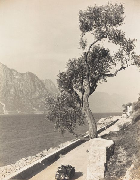 Fratelli Pedrotti : Gardesana  - Asta Fotografia - Associazione Nazionale - Case d'Asta italiane