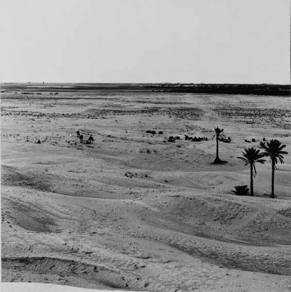 Vittorio Garatti : Senza titolo  - Asta Fotografia - Associazione Nazionale - Case d'Asta italiane