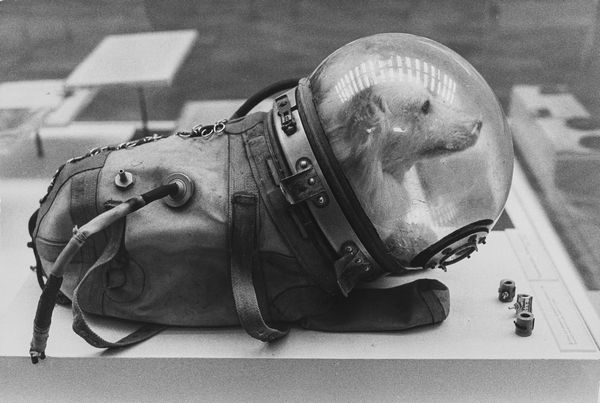 Mario Gerardi : Mosca: museo della Rivoluzione  - Asta Fotografia - Associazione Nazionale - Case d'Asta italiane