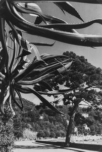 Riccardo Moncalvo - Senza titolo (Strada Santa Margherita, Portofino)