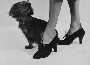 Anonimo : Senza titolo (Scarpe)  - Asta Fotografia - Associazione Nazionale - Case d'Asta italiane