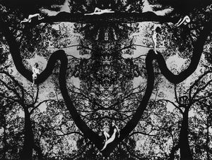 Vitaly Butyrin - Fairy Tale of Night Forest