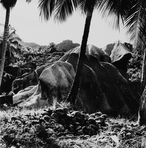 Vittorio Garatti : Senza titolo  - Asta Fotografia - Associazione Nazionale - Case d'Asta italiane