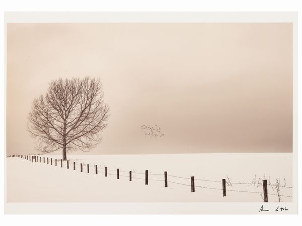 Antonio Lo Torto : Croazia 1998  - Asta Dballage. Occasioni in asta - Associazione Nazionale - Case d'Asta italiane