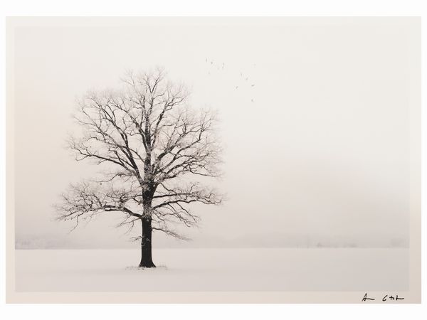 Antonio Lo Torto : Croazia 1998  - Asta Dballage. Occasioni in asta - Associazione Nazionale - Case d'Asta italiane