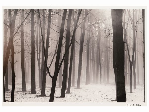 Antonio Lo Torto : Italia 2005  - Asta Dballage. Occasioni in asta - Associazione Nazionale - Case d'Asta italiane