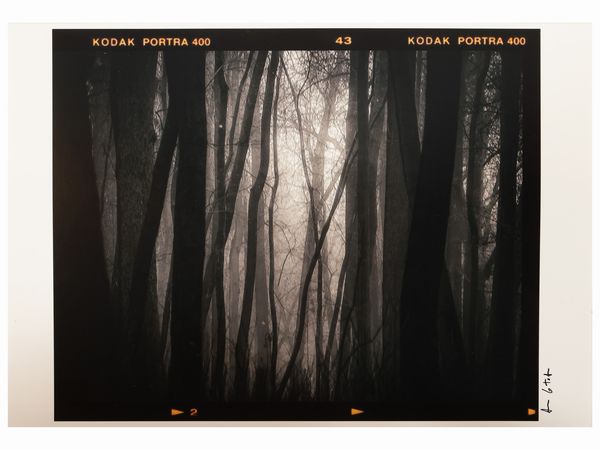 Antonio Lo Torto : Italia, 2001  - Asta Dballage. Occasioni in asta - Associazione Nazionale - Case d'Asta italiane