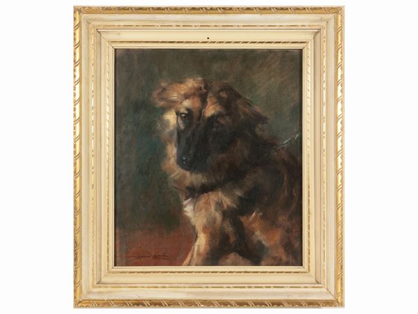 Ritratto di cane  - Asta Dballage. Occasioni in asta - Associazione Nazionale - Case d'Asta italiane