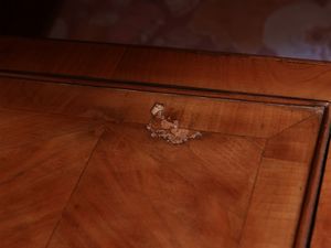 Coppia di comodini impiallacciati ed intarsiati in ciliegio  - Asta Dballage. Occasioni in asta - Associazione Nazionale - Case d'Asta italiane