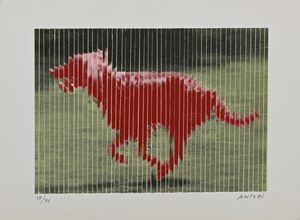 Anonimo del XX secolo : Lotto di due opere grafiche  - Asta Arte Moderna e Contemporanea - Associazione Nazionale - Case d'Asta italiane