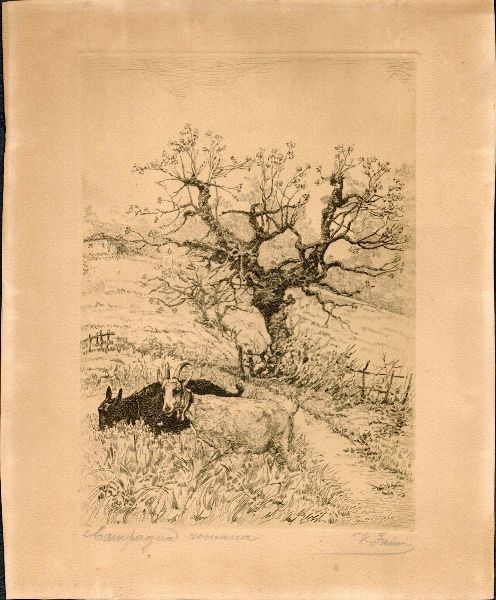 Virgilio Dante Faini : Campagna Romana  - Asta Opere su carta. Stampe, disegni, foto d'epoca - Associazione Nazionale - Case d'Asta italiane