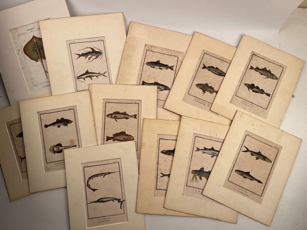 Pesci  - Asta Opere su carta. Stampe, disegni, foto d'epoca - Associazione Nazionale - Case d'Asta italiane