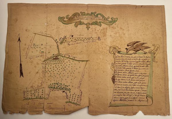 Pianta di due pezzi di terreno di pertinenza della Sig.ra Carmina Latini Minnucci di Mogliano  - Asta Opere su carta. Stampe, disegni, foto d'epoca - Associazione Nazionale - Case d'Asta italiane