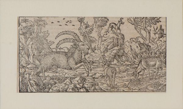 Caprioli  - Asta Opere su carta. Stampe, disegni, foto d'epoca - Associazione Nazionale - Case d'Asta italiane