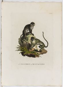 Lotto di 6 incisioni raffiguranti animali  - Asta Opere su carta. Stampe, disegni, foto d'epoca - Associazione Nazionale - Case d'Asta italiane