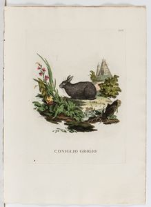 Lotto di 6 incisioni raffiguranti animali  - Asta Opere su carta. Stampe, disegni, foto d'epoca - Associazione Nazionale - Case d'Asta italiane