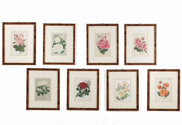 Lotto di otto stampe a motivo floreale  - Asta Antiquariato - Associazione Nazionale - Case d'Asta italiane