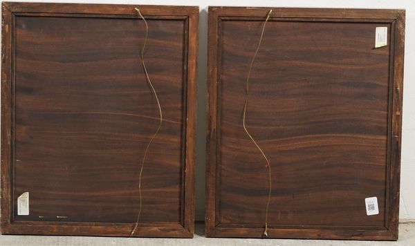 Due stampe in cornice raffiguranti uva  - Asta Antiquariato - Associazione Nazionale - Case d'Asta italiane