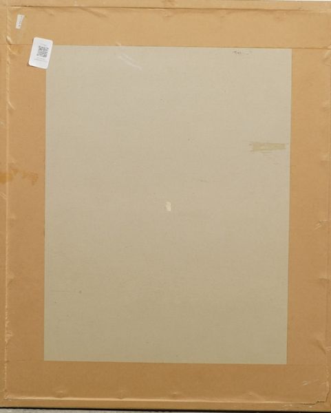 Stampa raffigurante funghi  - Asta Antiquariato - Associazione Nazionale - Case d'Asta italiane