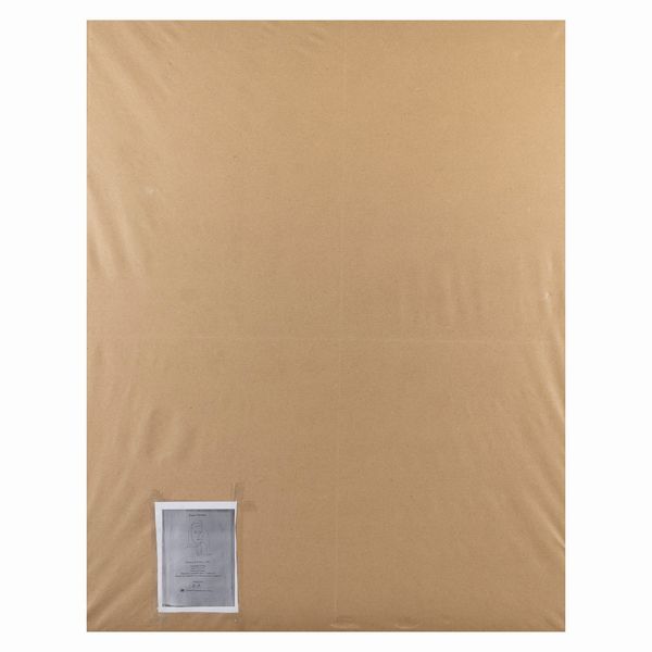 Francesco Bartolozzi : Ricerche istorico-critiche circa alle scoperte d'Americo Vespucci...  - Asta  Opere del XX secolo Web Only - Associazione Nazionale - Case d'Asta italiane