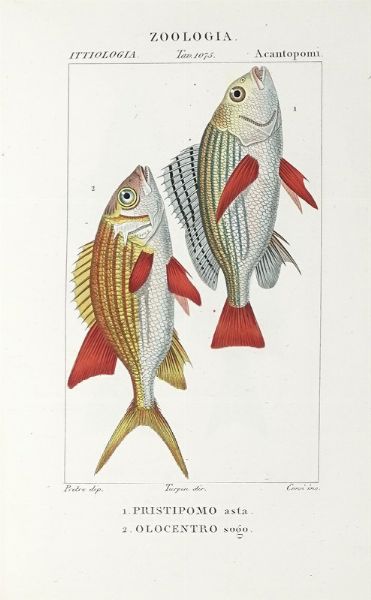 Dizionario delle Scienze Naturali, nel quale si tratta metodicamente dei differenti esseri della Natura, [...] la medicina, l'agricoltura, il commercio, e le arti [...] accompagnato da una biografia de' pi celebri Naturalisti...  - Asta Libri, Autografi e Manoscritti - Associazione Nazionale - Case d'Asta italiane