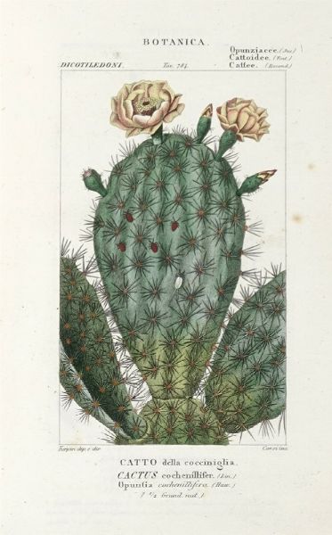 Dizionario delle Scienze Naturali, nel quale si tratta metodicamente dei differenti esseri della Natura, [...] la medicina, l'agricoltura, il commercio, e le arti [...] accompagnato da una biografia de' pi celebri Naturalisti...  - Asta Libri, Autografi e Manoscritti - Associazione Nazionale - Case d'Asta italiane