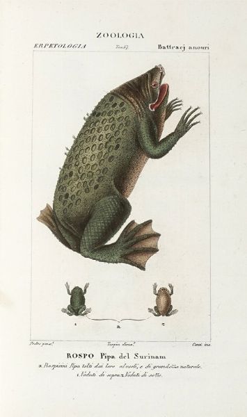 Dizionario delle Scienze Naturali, nel quale si tratta metodicamente dei differenti esseri della Natura, [...] la medicina, l'agricoltura, il commercio, e le arti [...] accompagnato da una biografia de' pi celebri Naturalisti...  - Asta Libri, Autografi e Manoscritti - Associazione Nazionale - Case d'Asta italiane