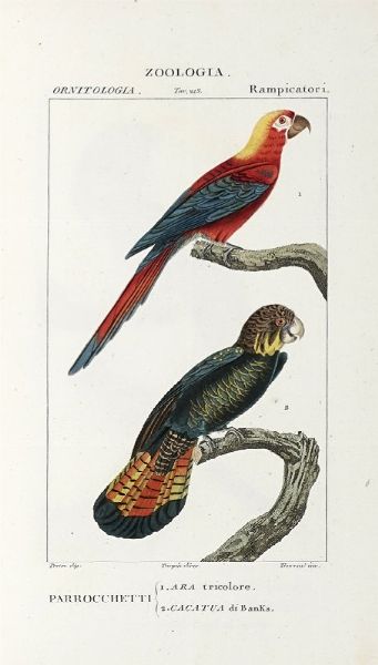 Dizionario delle Scienze Naturali, nel quale si tratta metodicamente dei differenti esseri della Natura, [...] la medicina, l'agricoltura, il commercio, e le arti [...] accompagnato da una biografia de' pi celebri Naturalisti...  - Asta Libri, Autografi e Manoscritti - Associazione Nazionale - Case d'Asta italiane