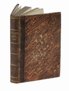 GIUSEPPE GALANTI : Nuova guida per Napoli, e suoi contorni...  - Asta Libri, Autografi e Manoscritti - Associazione Nazionale - Case d'Asta italiane