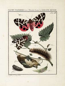 JAN CHRISTIAN SEPP : Beschouwing der wonderen Gods, in de minstgeachte schepzelen of Nederlandsche insecten.  - Asta Libri, Autografi e Manoscritti - Associazione Nazionale - Case d'Asta italiane