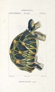 Dizionario delle Scienze Naturali, nel quale si tratta metodicamente dei differenti esseri della Natura, [...] la medicina, l'agricoltura, il commercio, e le arti [...] accompagnato da una biografia de' pi celebri Naturalisti...  - Asta Libri, Autografi e Manoscritti - Associazione Nazionale - Case d'Asta italiane