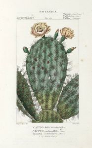 Dizionario delle Scienze Naturali, nel quale si tratta metodicamente dei differenti esseri della Natura, [...] la medicina, l'agricoltura, il commercio, e le arti [...] accompagnato da una biografia de' pi celebri Naturalisti...  - Asta Libri, Autografi e Manoscritti - Associazione Nazionale - Case d'Asta italiane