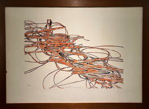 Roberto Barni - Senza titolo