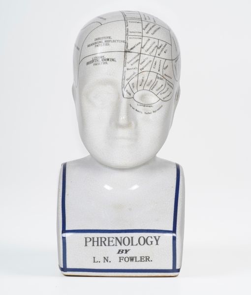 Testa Phrenology.<BR>Londra, L.N. Fowler, XIX secolo.<BR>  - Asta Maioliche, Porcellane e Vetri - Associazione Nazionale - Case d'Asta italiane