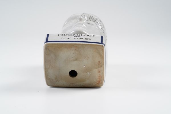 Testa Phrenology.<BR>Londra, L.N. Fowler, XIX secolo.<BR>  - Asta Maioliche, Porcellane e Vetri - Associazione Nazionale - Case d'Asta italiane