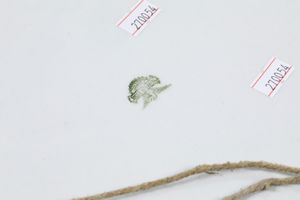 Due piatti.<BR>Laveno, societ ceramica Italiana, prima met del XX secolo.  - Asta Maioliche, Porcellane e Vetri - Associazione Nazionale - Case d'Asta italiane