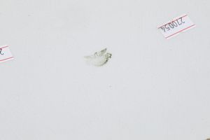 Due piatti.<BR>Laveno, societ ceramica Italiana, prima met del XX secolo.  - Asta Maioliche, Porcellane e Vetri - Associazione Nazionale - Case d'Asta italiane