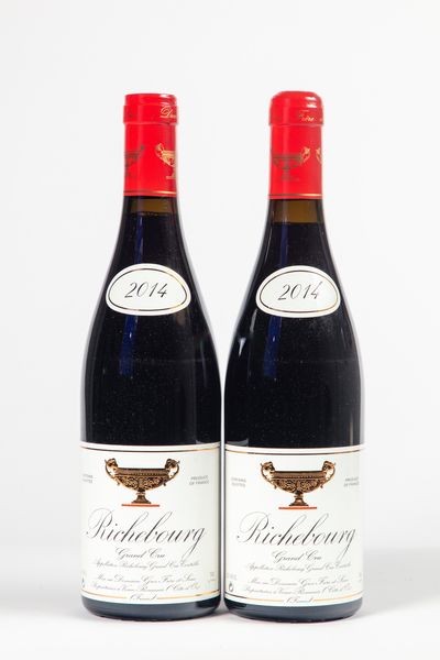 FRANCIA : Domaine Gros Frere et Soeur Richebourg Grand Cru (2 BT)  - Asta Timeless Treasures / Due secoli di vini leggendari - Associazione Nazionale - Case d'Asta italiane