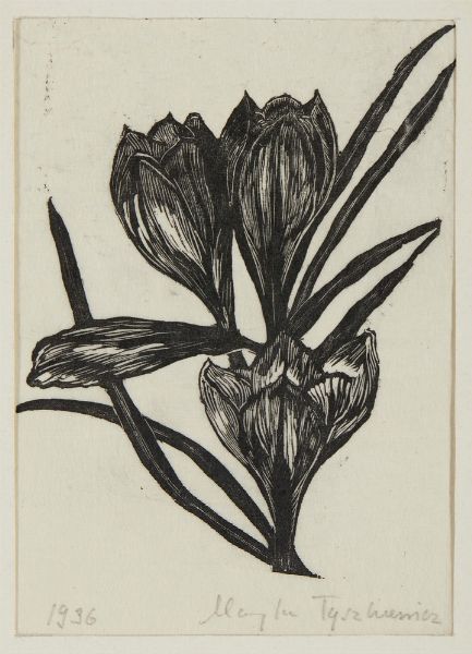 AUTORE NON IDENTIFICATO : LOTTO COMPOSTO DA N.3 FOGLI: SENZA TITOLO  - Asta Asta 499 | ARTE MODERNA E CONTEMPORANEA Virtuale - Associazione Nazionale - Case d'Asta italiane