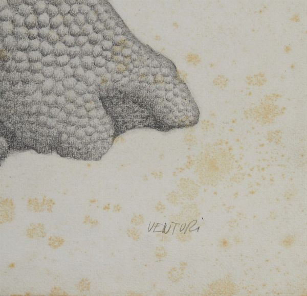 VENTURI MICHELE   (1932 - 2005) : ALBERO DELL'IMPERATORE  - Asta Asta 499 | ARTE MODERNA E CONTEMPORANEA Virtuale - Associazione Nazionale - Case d'Asta italiane