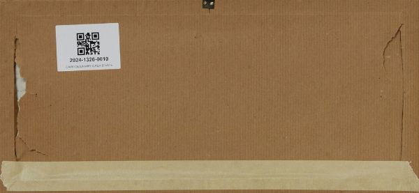 BITTONI RENATO (n. 1933) : SENZA TITOLO  - Asta Asta 499 | ARTE MODERNA E CONTEMPORANEA Virtuale - Associazione Nazionale - Case d'Asta italiane