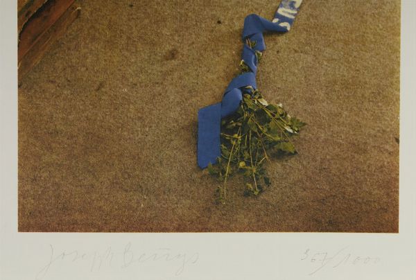 BEUYS JOSEPH (1921 - 1986) : VITEX AGNUS CASTUS  - Asta Asta 499 | ARTE MODERNA E CONTEMPORANEA Virtuale - Associazione Nazionale - Case d'Asta italiane