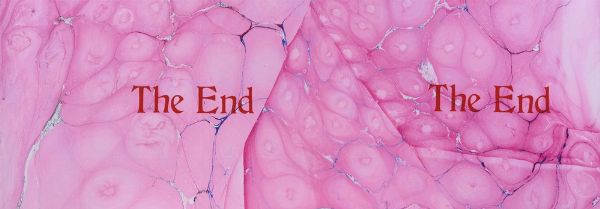 MONK JOHNATAN (n. 1969) : THE END.  - Asta Asta 499 | ARTE MODERNA E CONTEMPORANEA Virtuale - Associazione Nazionale - Case d'Asta italiane