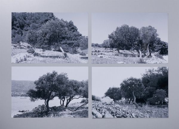 GHARIB ABBAS (n. 1942) : TREES  - Asta Asta 499 | ARTE MODERNA E CONTEMPORANEA Virtuale - Associazione Nazionale - Case d'Asta italiane