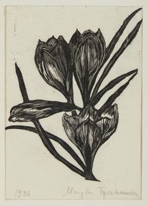 AUTORE NON IDENTIFICATO : LOTTO COMPOSTO DA N.3 FOGLI: SENZA TITOLO  - Asta Asta 499 | ARTE MODERNA E CONTEMPORANEA Virtuale - Associazione Nazionale - Case d'Asta italiane