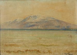 AUTORE NON IDENTIFICATO - SENZA TITOLO