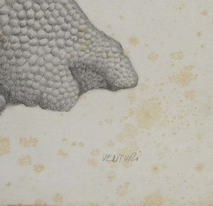 VENTURI MICHELE   (1932 - 2005) : ALBERO DELL'IMPERATORE  - Asta Asta 499 | ARTE MODERNA E CONTEMPORANEA Virtuale - Associazione Nazionale - Case d'Asta italiane