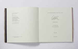 CESAR (1921 - 1998) : OMAGGIO A MORANDI  - Asta Asta 499 | ARTE MODERNA E CONTEMPORANEA Virtuale - Associazione Nazionale - Case d'Asta italiane