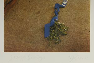 BEUYS JOSEPH (1921 - 1986) : VITEX AGNUS CASTUS  - Asta Asta 499 | ARTE MODERNA E CONTEMPORANEA Virtuale - Associazione Nazionale - Case d'Asta italiane